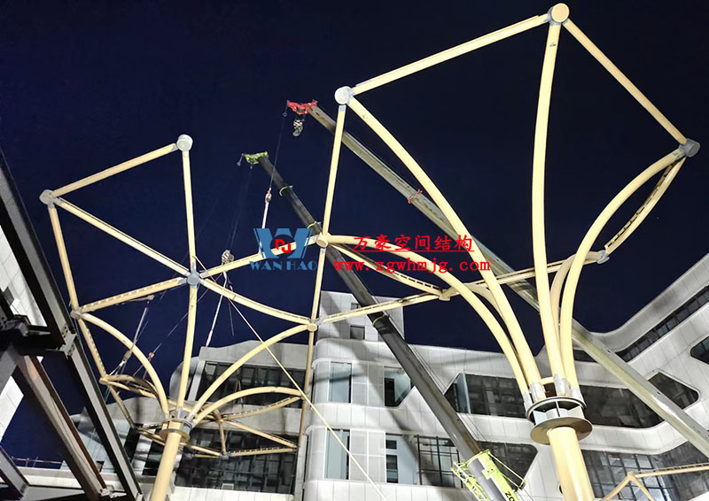 膜结构工程吊装