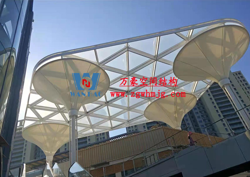 膜结构工程 膜结构工程