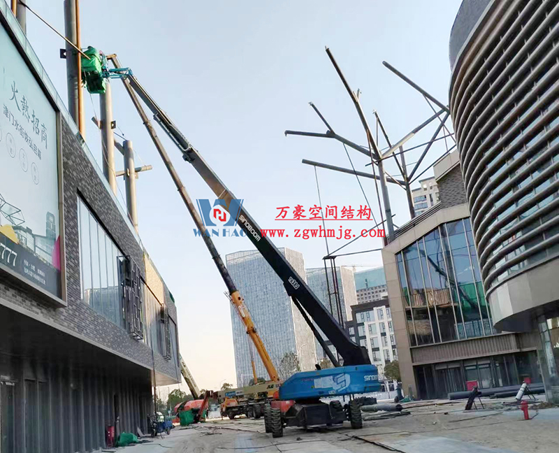 etfe膜结构工程 etfe膜结构工程