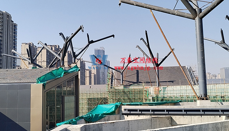 etfe膜结构工程 etfe膜结构工程