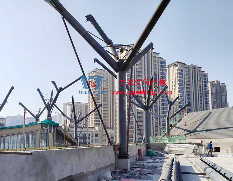 etfe膜结构工程 etfe膜结构工程