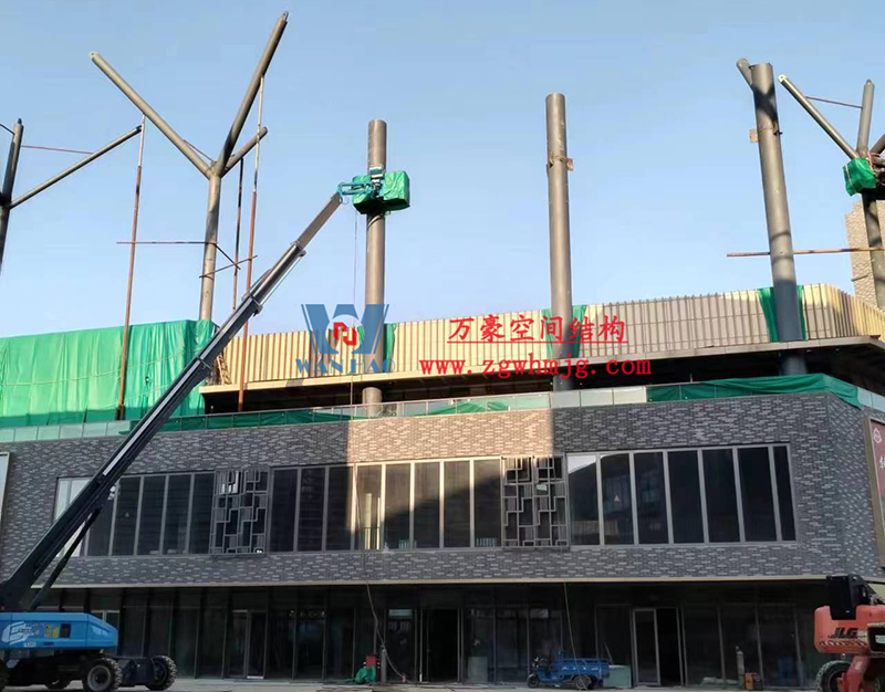 etfe膜结构工程 etfe膜结构工程