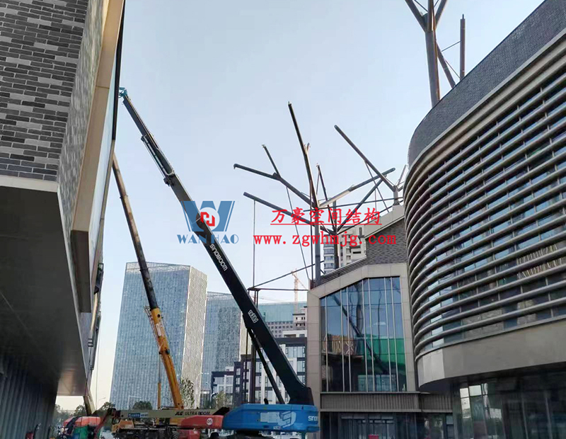 etfe膜结构工程 etfe膜结构工程