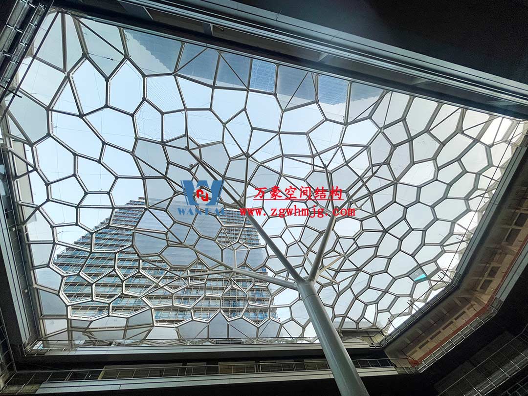 1757638910126701.jpg 5.jpg