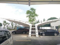 完工项目：平湖市广陈镇人民政府膜结构项目