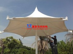 膜结构形态有哪几种？分别有哪些特点特征？