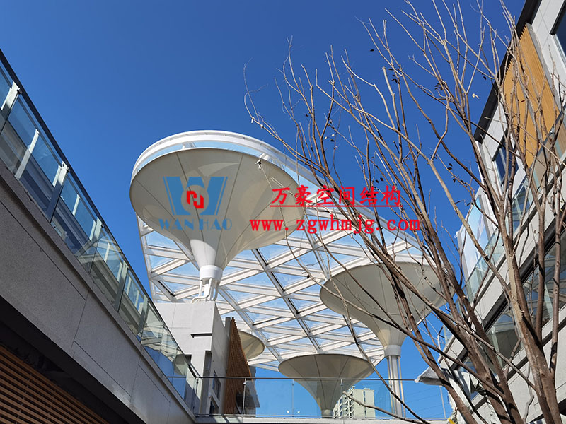 etfe膜结构